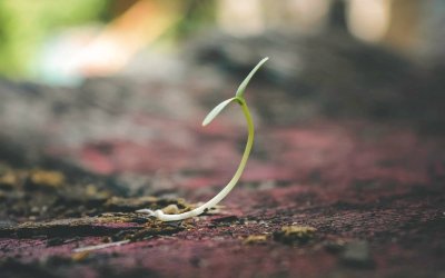 Is pre-seed funding all you’ll ever need?